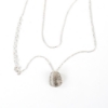 Picture of Turtle Shell Necklace
